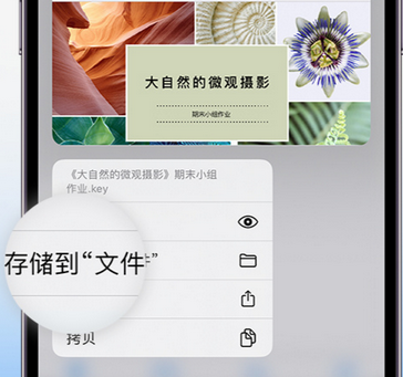 巴马apple维修中心分享iPhone文件应用中存储和找到下载文件