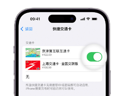 巴马apple维修点分享iPhone上更换Apple Pay快捷交通卡手绘卡面 