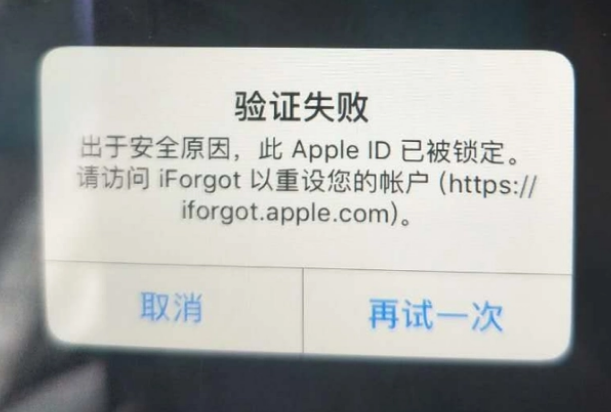 巴马iPhone维修分享iPhone上正常登录或使用AppleID怎么办 