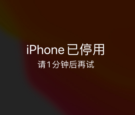 巴马苹果手机维修分享:iPhone 显示“不可用”或“已停用”怎么办？还能保留数据吗？ 