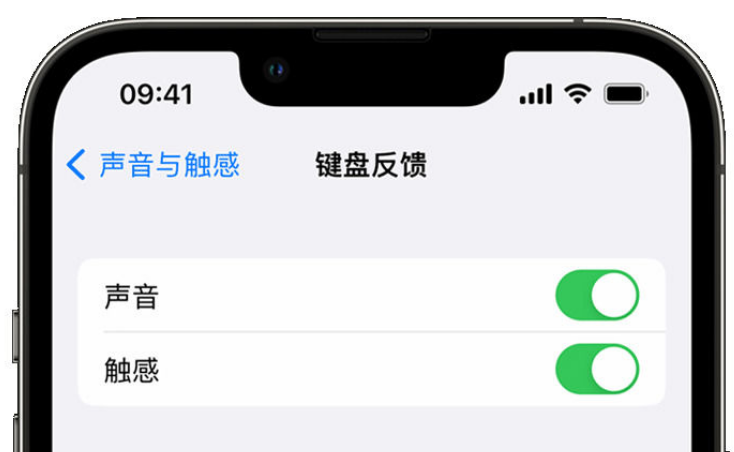 巴马苹果手机维修分享iPhone 14触感键盘使用方法 