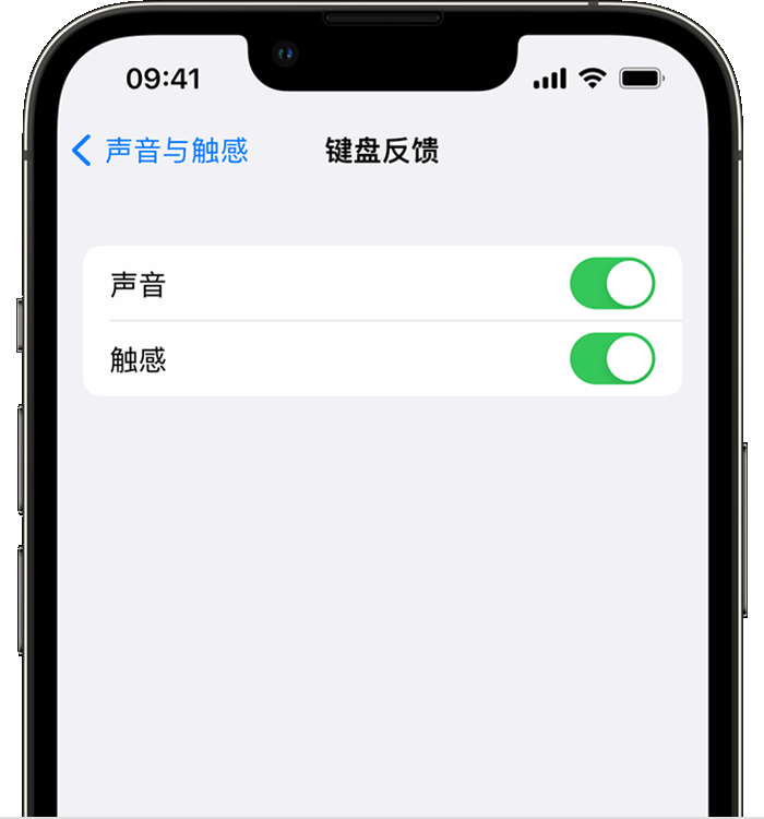 巴马苹果14维修店分享如何在 iPhone 14 机型中使用触感键盘 