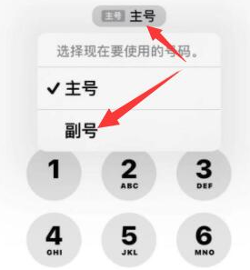 巴马苹果14维修店分享iPhone 14 Pro Max使用副卡打电话的方法 