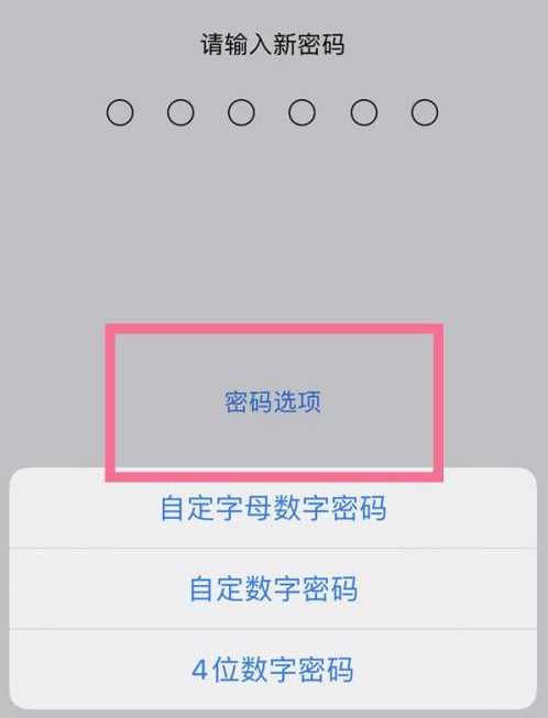 巴马苹果14维修分享iPhone 14plus设置密码的方法 