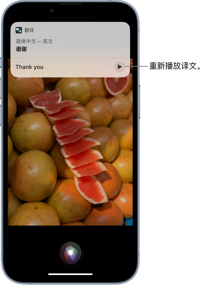 巴马苹果14维修分享 iPhone 14 机型中使用 Siri：了解 Siri 能帮你做什么 