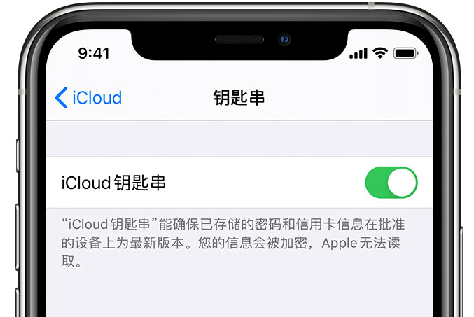 巴马苹果手机维修分享在 iPhone 上开启 iCloud 钥匙串之后会储存哪些信息 