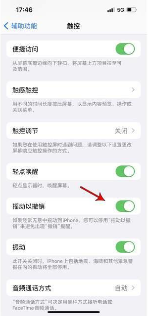 巴马苹果手机维修分享iPhone手机如何设置摇一摇删除文字 